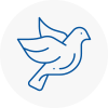 Bird Prevention Long Lawford