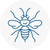 Long Lawford Hornet Nest Removals