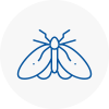 Moth Control Specialists In Long Lawford