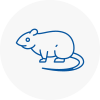 Rat Control Long Lawford
