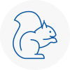 Long Lawford Rodent Removals