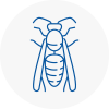 Long Lawford Wasp Nest Removal